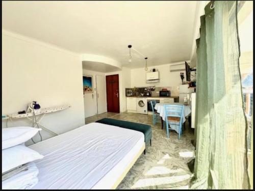 Studio Palm Beach Cannes