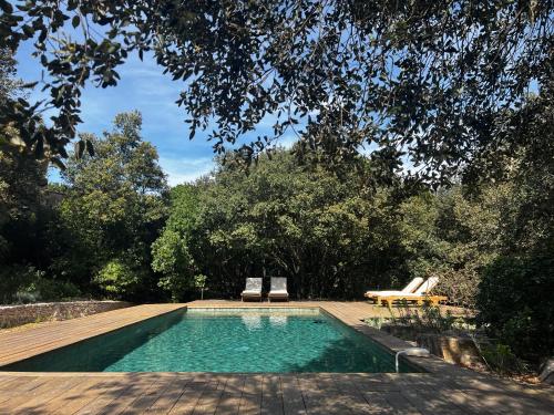 Πισίνα στο ή κοντά στο La Canopée Private Ecolodges