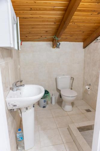 a bathroom with a sink and a toilet at calmia in Lefkada