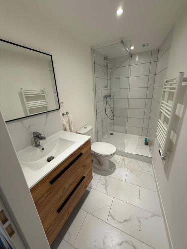 une salle de bain avec un lavabo, des toilettes et un miroir dans l'établissement Appartement en Champagne, à Dormans