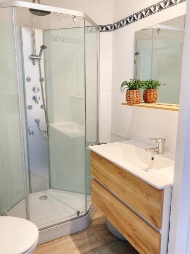 une salle de bain avec douche et lavabo dans l'établissement Aurénoë à Carnac Plage, à Carnac