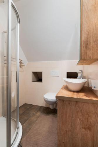 a bathroom with a sink and a toilet and a shower at Ferienhaus Purgar in Kammern im Liesingtal
