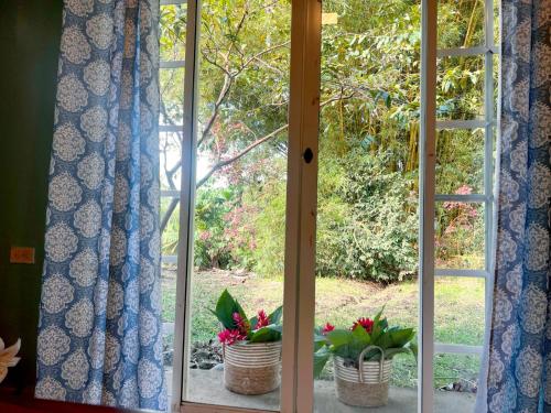 two potted plants sitting on a window sill at Casa bambú con desayuno in Puyo