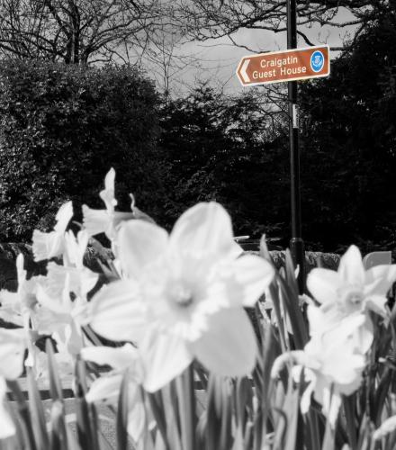 a bunch of white flowers in front of a street sign at Craigatin House & Courtyard in Pitlochry