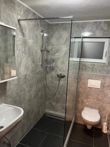 een badkamer met douche, toilet en wastafel bij Villa EXOTIC in Bihać