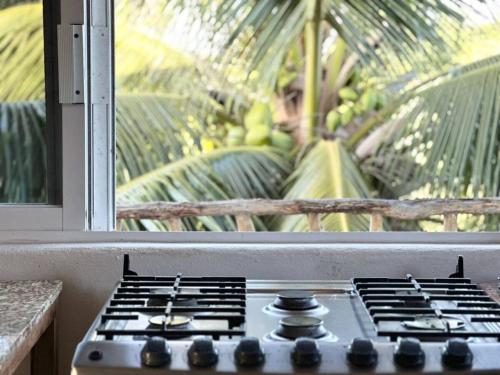 Сад в Penthouse - SolSurf House Mita