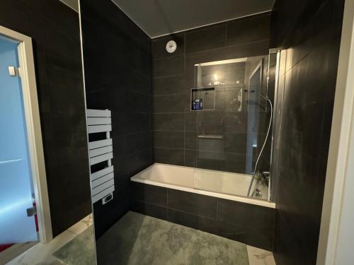 une salle de bain avec baignoire et douche dans l'établissement Wohlfühloase 50m über dem Rhein, à Huningue