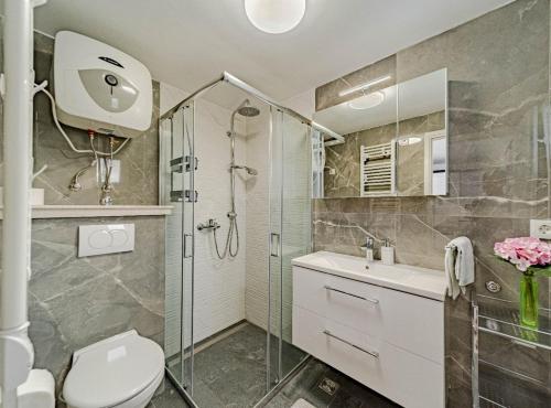 a bathroom with a shower and a toilet and a sink at Stone House Blaca in Blato