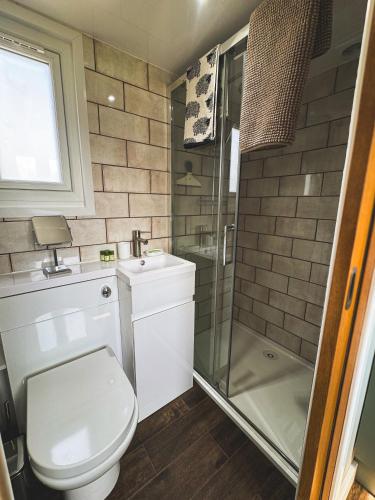 a bathroom with a toilet and a shower at Brambles, Shepherds Hut, Isle of Wight in Godshill