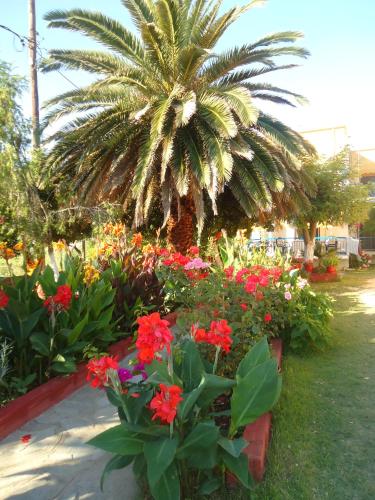 a garden of flowers with a palm tree in the background at House Souzanna in Toroni