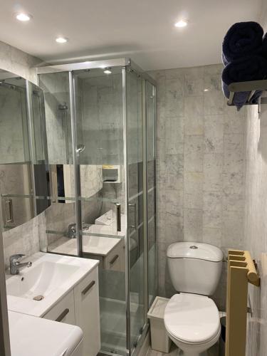 une salle de bain avec toilettes, douche et lavabo dans l'établissement T1 résidence privée bien situé,piscine,tennis,parking, à Hyères