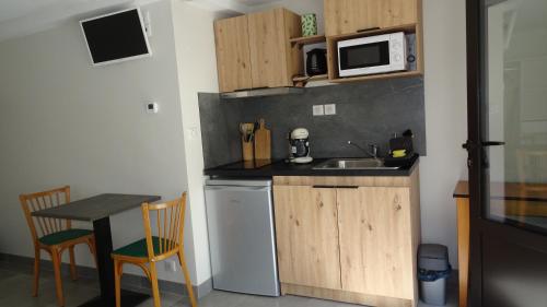 une petite cuisine avec un évier et un micro-ondes dans l'établissement Studio Gîtes Au Pont de la Ginéze, à Barjac