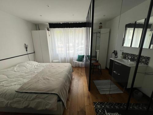 une chambre avec un lit, un lavabo et un miroir dans l'établissement Le cocon citadin atypique et son patio, à Tours