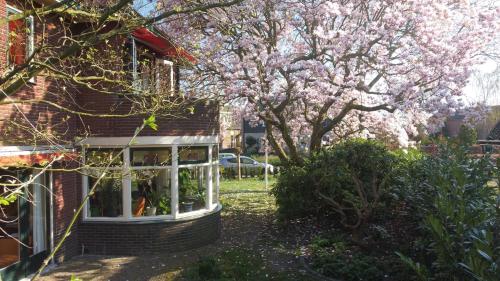 a tree with pink flowers in front of a house at Huize De Kol in Holten