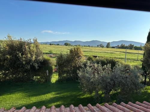 a view of a field from a roof at Bio Agriturismo Il Melograno di Banditella Ristorante in Alberese