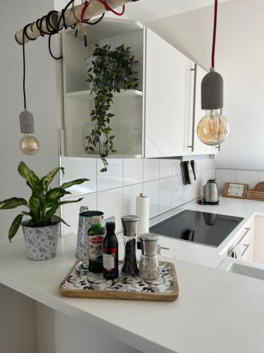 Η κουζίνα ή μικρή κουζίνα στο Messe- und Ferienloft am Nürnberger Reichswald