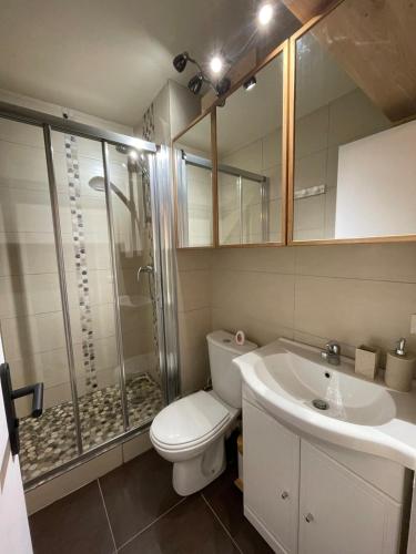 une salle de bain avec toilettes, douche et lavabo dans l'établissement Studio Carroz d'Arâches 4 pers, à Arâches-la-Frasse