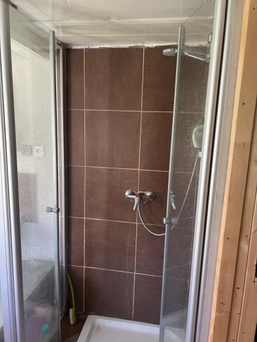 a shower with a glass door in a bathroom at Chalupa v Cíšařským in Golčŭv Jeníkov