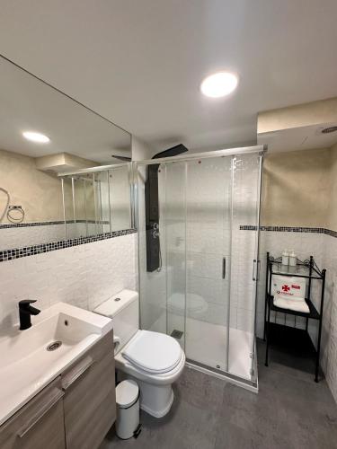 a bathroom with a shower and a toilet and a sink at PLAYA CARIHUELA Apartamentos El CARMEN in Torremolinos