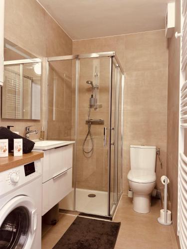 une salle de bain avec une douche, des toilettes et un lavabo dans l'établissement Riviera Sun, à Nice