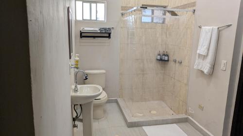 a bathroom with a shower and a toilet and a sink at DGMLoftsTEC comodo zona sur MTY in Monterrey