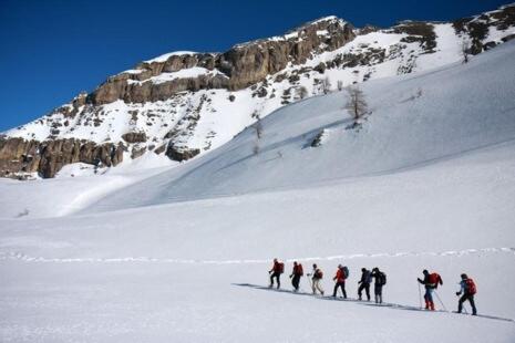 a group of people skiing down a snow covered mountain at Chalet d'alpage au coeur du Parc naturel du Queyras - exceptionnel in Valpreveyre