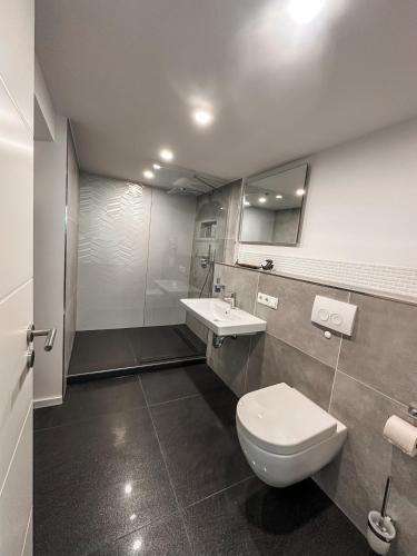 a bathroom with a toilet and a sink at Geschäfts- und Monteurs Apartment 2 SZ in Königswinter