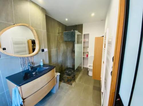 un baño con lavabo y espejo en Chambre privée au coeur de Calais, en Calais