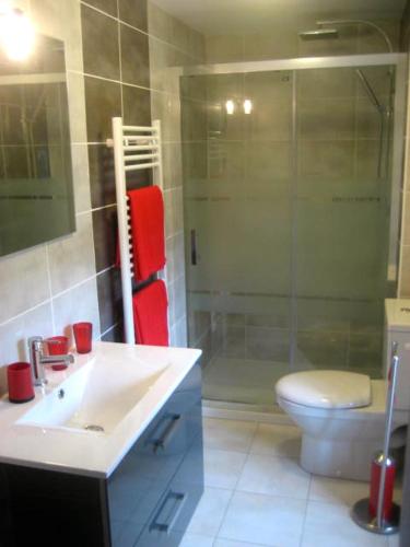 a bathroom with a shower and a sink and a toilet at Le Relais in Lavoûte-Chilhac
