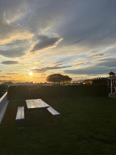 a bench sitting in the grass with the sunset in the background at Brygga i Helgeroa in Larvik