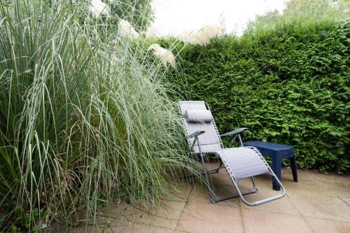 a chair sitting next to some tall grass at Wiesenredder 6 in Lenste