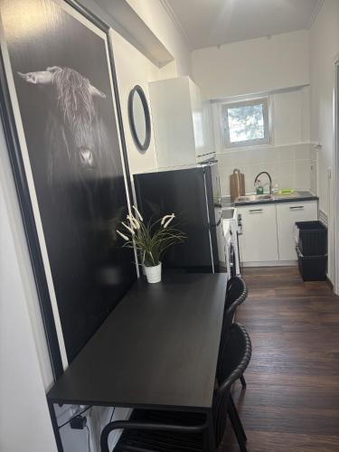 Art decor luxury apartment