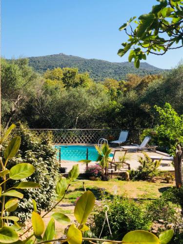 une piscine au milieu d'une cour arborée dans l'établissement Magnifique villa avec piscine, à Porto-Vecchio