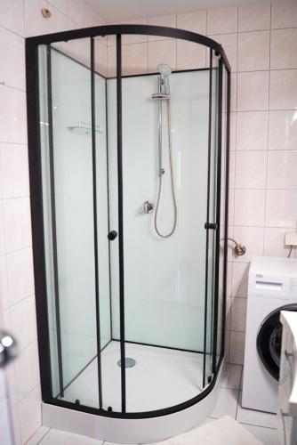 a shower with a glass door in a bathroom at Stiglitzer Apartment in Sankt Martin