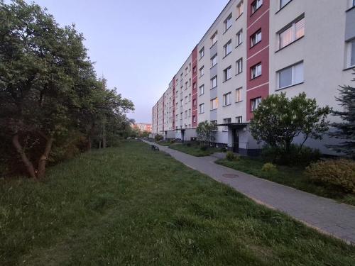 a grassy field next to a tall building at Apartament Przydworcowe in Skarżysko-Kamienna