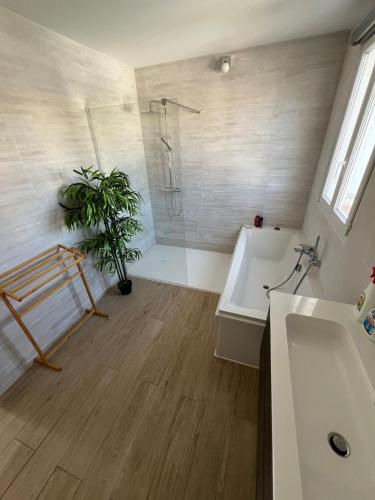 La salle de bains est pourvue d'une douche, d'un lavabo et d'une plante. dans l'établissement Les Grillons 3 bedroom house, à Balaruc-les-Bains
