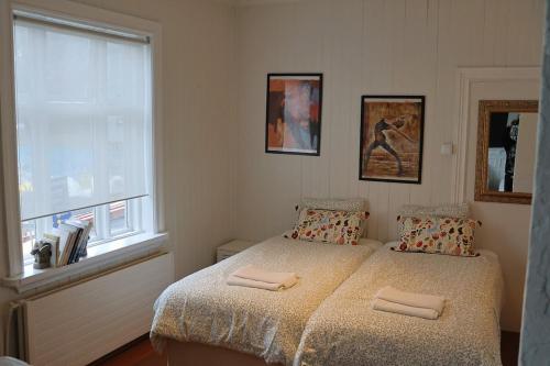 Ice apartment 2