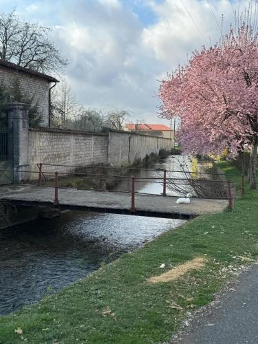 a river with a bridge and a tree with pink flowers at L'écrin des Forges maison cosy 1 à 6 voyageurs in Cousancelles