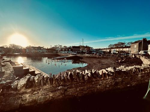 a group of birds sitting in a body of water at The Round House in Strangford