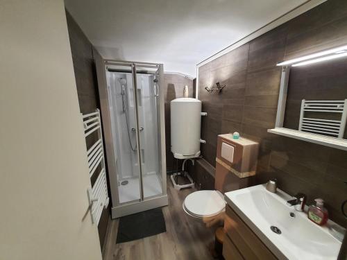 une salle de bain avec une douche, des toilettes et un lavabo dans l'établissement L'amirauté, à Honfleur