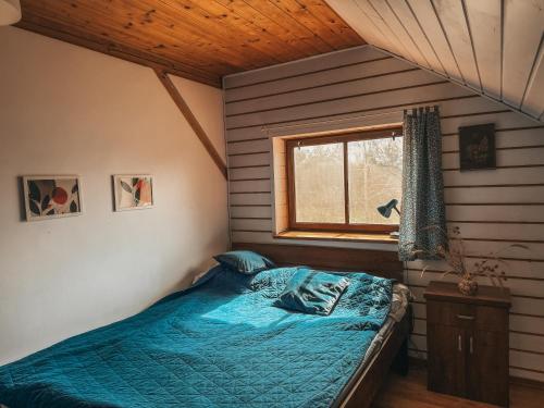 a bedroom with a bed in a room with a window at Apartament Chochlika in Rybczyzna