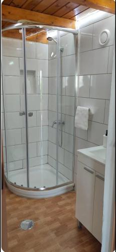 a bathroom with a shower and a sink and a toilet at La Cabañita in Tejeda