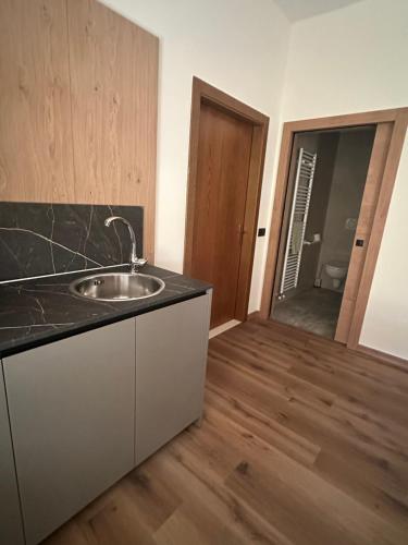 a kitchen with a sink and a wooden floor at Agritur Leita in Tuenno
