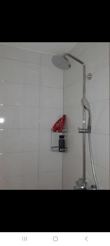 a shower with a shower head in a bathroom at Apartment Nevena in Omiš