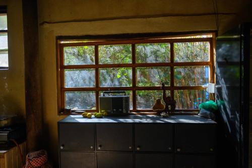 Kuchyň nebo kuchyňský kout v ubytování El Tio Hostal
