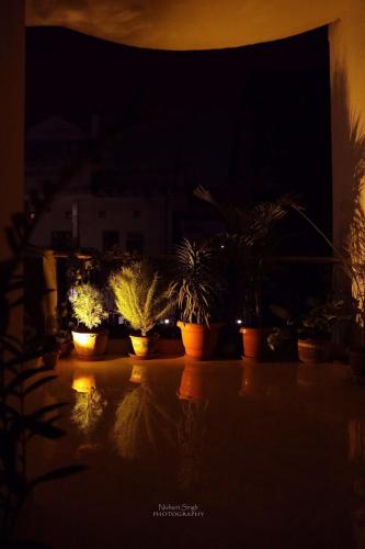 a group of potted plants sitting on a table at night at Tattva Luxurious apartment in Varanasi