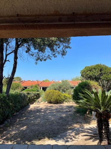 a view of a garden with a palm tree at La Trentasei in Rena Majore