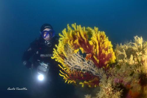 a man holding a camera in front of a plant at Casa Mariella in Sciacca