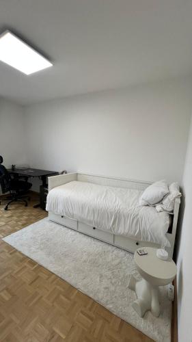 Modern Apartment in Basel