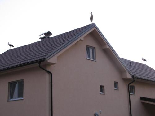 una casa con degli uccelli sul tetto di Atera a Banovci